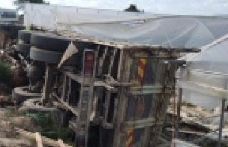 Portakal yüklü kamyon seraya daldı