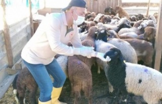 Rüzgar: Üreticilerimizin her zaman yanındayız