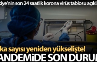 Sağlık Bakanlığı, Türkiye'nin son 24 saatlik...