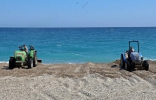 Sahili tarla sürer gibi sürdüler!