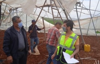 Serası zarar gören çiftçiye destek