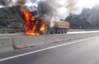 Seyir halindeki tır alev aldı