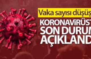 Türkiye'de son 24 saatte 38.553 koronavirüs...