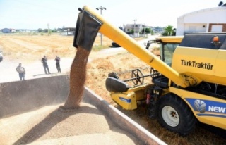 20 ton ürün, bulgur halinde ilçe sakinlerine dağıtacak,...