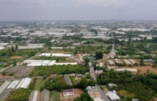 43.5 kilometrelik yol ağı asfaltlanıyor