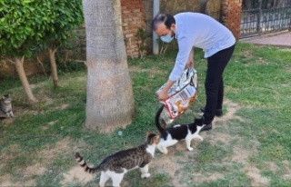 Ak Gençlik sokak hayvanlarını unutmadı