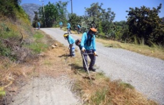Alanya Belediyesi'nden yollara bakım