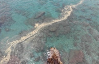Alanya'da denizin üstünde korkutan görüntüler