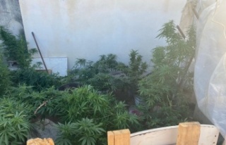 Alanya'da eş zamanlı uyuşturucu operasyonu:...