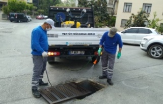 Alanya'da sinekle mücadele başladı