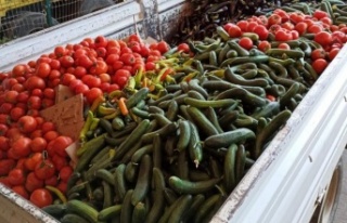 Alanya'da üretici tarım ürünlerini çöpe...