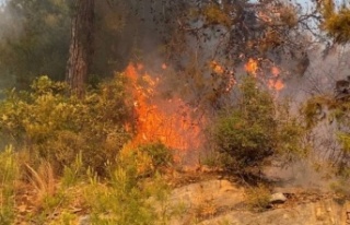 Alanya'da yangın paniği