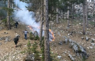 Alanya'nın yaylasında korkutan yangın