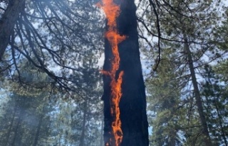 Alanya'yı korkutan yangın büyüyor