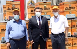 Alanya’da arı yetiştiricilerine ücretsiz 2 bin...