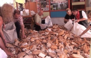 Alanya’da çöpe atılan ekmekler hayvanlara yem...
