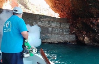 Alanya’da denizden sinekle mücadele