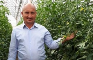 Alanyalı üreticinin bu feryadına kulak verin