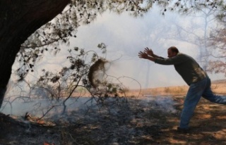 Antalya'da orman yangını