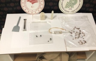 Antalya'da yasadışı toplanan 133 adet böcek...