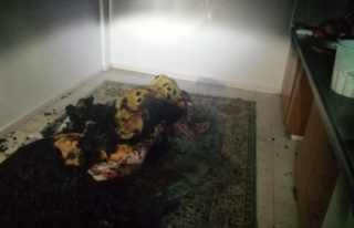 Apartmanda çıkan yangın paniğe neden oldu