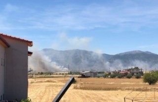 Buğday tarlasında çıkan yangın 30 dönümden...