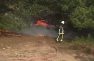 Bunalıma giren genç hem kendini hem ormanı yaktı