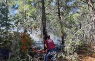 Domuz gelmesin diye yakıldığı iddia edilen ateş...