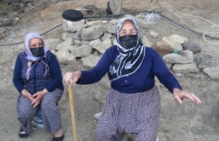 Engelli kız yaşadığı kafeste sıkışarak can...