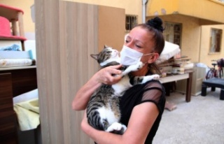 Eşyalarıyla sokağa atılan kadın yardım eli bekliyor