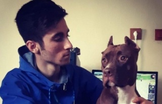 Feci motosiklet kazasında hayatını kaybeden gencin...