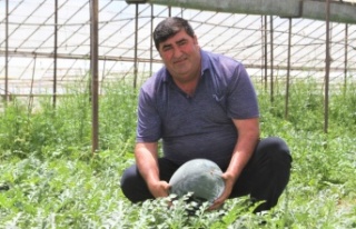 Kardeşini kanserden kaybetti, kekik aromalı karpuz...