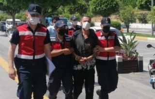 Özbekistan uyruklu turizm çalışanı cinayetine...