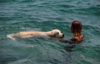 Rus turist, 9 bin kilometrelik yoldan getirdiği köpeğiyle...