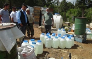 Sahte bal üreticilerine baskın