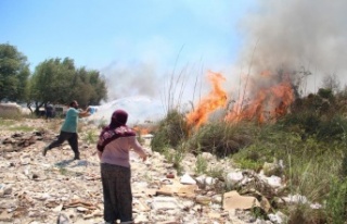 Sazlık ve makilik alandaki yangınlar vatandaşı...