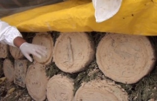 Siparişleri yaylaya çıkmadan önce alıp, yılda...