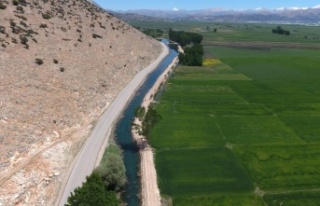 Suni besleme projesi ile 25 bin 100 dekar tarım alanı...