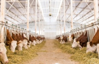 Sütün fiyatı kalitesine göre değişecek