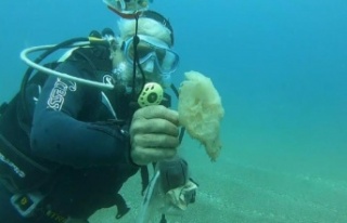 Tam kapanma deniz canlılarına nefes oldu