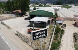 Tarımsal üretimin gözdesi örtü altı üretim,...