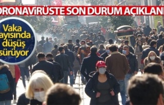 Türkiye'de son 24 saatte 24.733 koronavirüs...