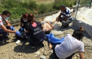 Yüzmek için girdiği muz serasının havuzunda boğuldu