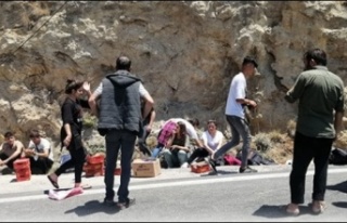 Alanya'ya gelirken TIR'la çarpıştı