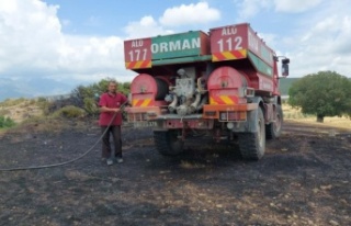 Antalya'da anız yangınında 20 dönüm tarım...