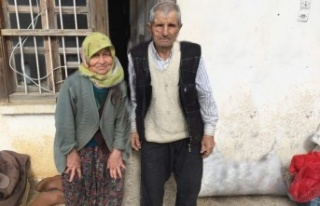 Gazipaşa'da sulama havuzuna düşen yaşlı...