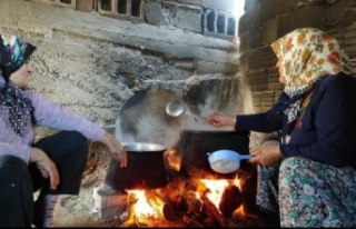 Oksijen deposu ormanda çam ağaçlarından toplanıp...