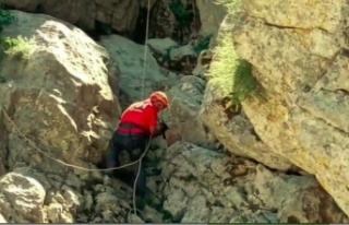 10 gündür kayıp olan keçiler için kurtarma operasyonu