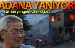 Adana'daki orman yangınında evler alevlere...
