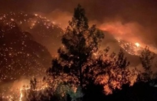 Alanya Afet Bölgesi ilan edildi